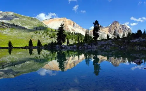 全自动独特